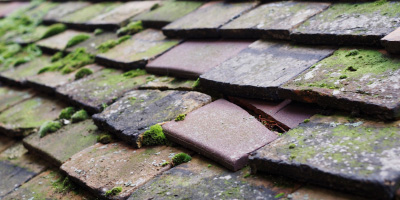 South Woodford roof repair costs